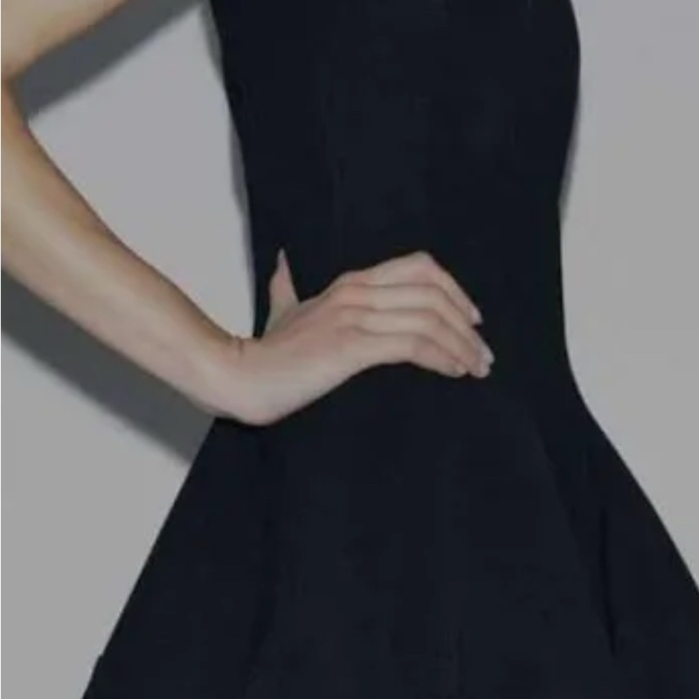 Rare,sexy Zara Collection limited edition Chic Black Midi Dress XL,new,no tags .